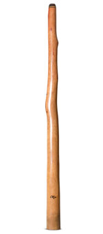 Tristan O'Meara Didgeridoo (TM513)